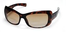 St Clare Tortoise